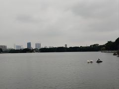 -海珠湖公园