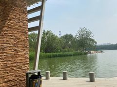 -大兴滨河森林公园