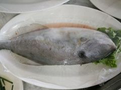 -金掌勺东北菜(格兰晴天店)