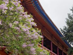 -西宁市东关清真大寺