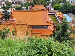 -昆明动物园