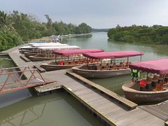 -东寨港红树林旅游区