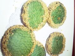 iphone_upload_pic-绿茶餐厅(华联万柳店)