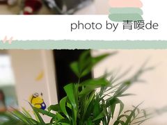 -秦美花卉(天朗·莱茵小城2期店)