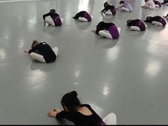 -西安小天鹅艺术团(金花路校区)