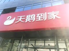 -天鹅到家·保姆月嫂育儿嫂(总店)