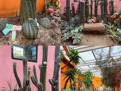 -正佳雨林生态植物园