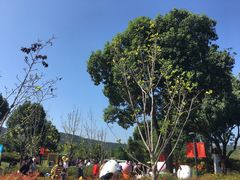 -上方山森林动物世界