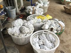 -马陆小张葡萄园农家乐