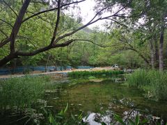 -白水寺森林公园