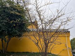 -宝通禅寺