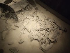 -北京大葆台遗址博物馆