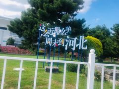 -田记自助海鲜饺子