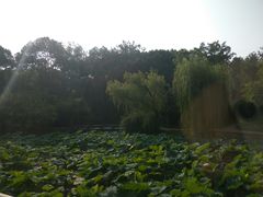 -上海市龙华烈士陵园