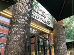 -TIMEZONE8东八时区餐厅&酒吧(798店)