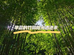 -芦沟竹海
