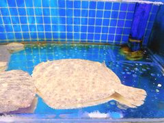 -前王院•巧克力海鲜市集餐厅(万平口店)