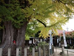 -医王山·飞騨国分寺