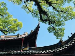 -阿育王寺