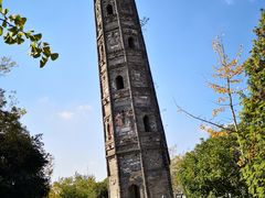 -上海佘山国家森林公园天马山园