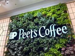 -Peet's Coffee皮爷咖啡(大学路店)