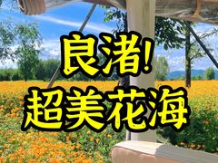 -良渚古城遗址公园