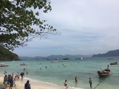 -珊瑚岛