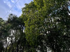 -天河潭旅游度假区