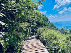 -白草畔自然风景区