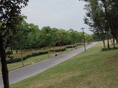 -广富林郊野公园