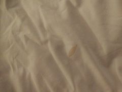 -广州粤海喜来登酒店