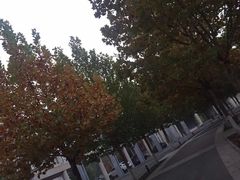 -天津职业大学北辰校区-食堂