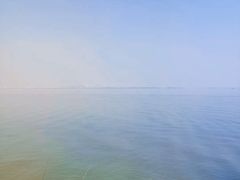 -大湾区中央湿地公园-十九涌