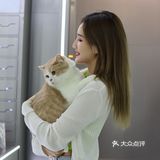 深圳新晋萌宠乐园？！今日小可爱萌度加倍！