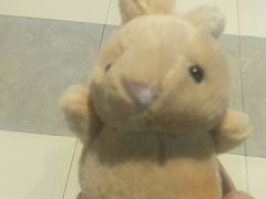 -福缘烤肉王自助(爱琴海-原比尔森店)