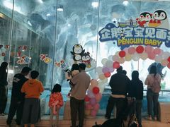 -帝企鹅自助餐厅•儿童岛•真企鹅(长隆企鹅酒店)