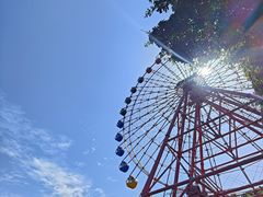 -南湖梦幻岛