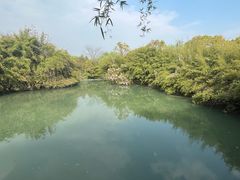 -西溪国家湿地公园