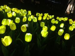 -西湖天地