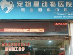 -宠物星动物医院·眼科·异宠·猫科(江南大道总院)