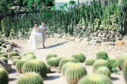 -绿皮火车照相馆 婚纱照旅拍(厦门店)