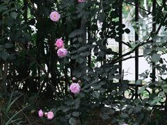 -安徽新华学院