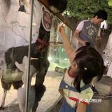 78元可以带娃嗨玩[亲亲]