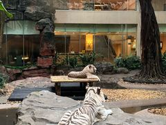 -白虎自助餐厅·真老虎·景观自助餐厅(广州长隆酒店)