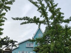 -八大关景区