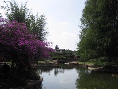 -云南民族村