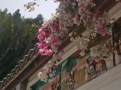 -深圳国际园林花卉博览园