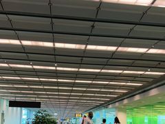 -樟宜机场免税店