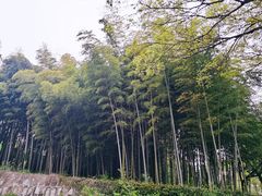 -上海市保健医疗中心