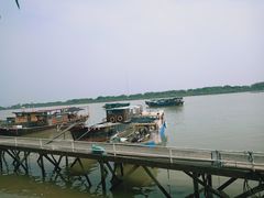 -大湾区中央湿地公园-十九涌